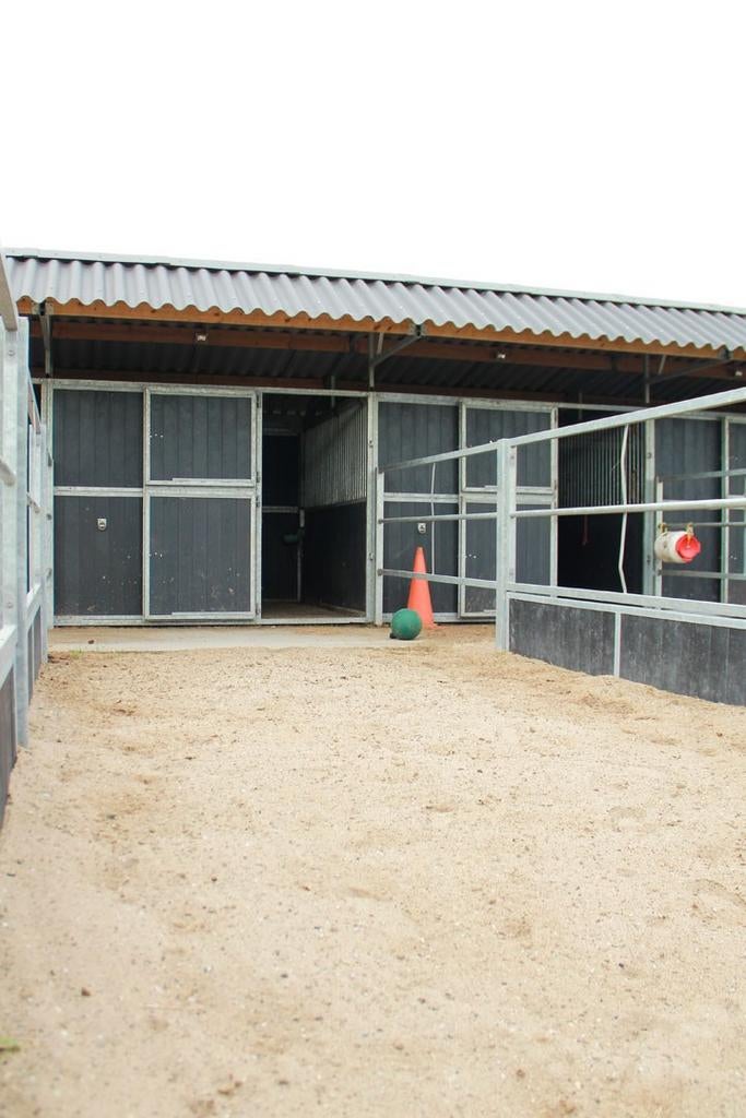 GEZOCHT: Kleinschalig plekje voor Merrie (Shet) & Ruin (Pony, Weidegang