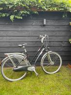 Damesfiets Giant, Ophalen, Versnellingen, Giant, 53 tot 56 cm