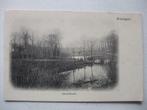 L46 Groningen - Sterrebosch, Verzenden, Voor 1920, Ongelopen, Groningen