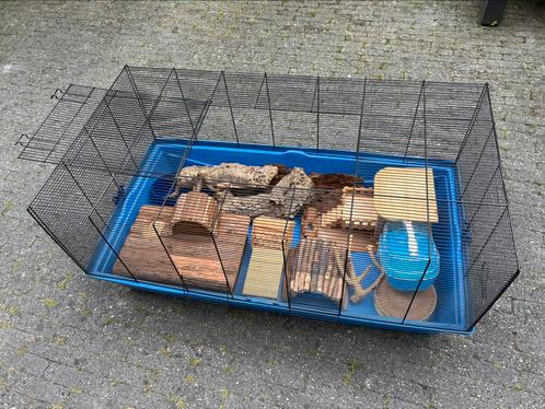 Hamsterkooi + accessoires (huisjes/eetbakjes/reiskooi), Dieren en Toebehoren, Knaagdieren en Konijnen | Hokken en Kooien, Gebruikt