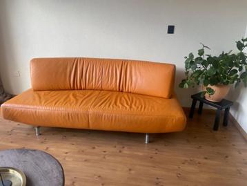 Oranje lederen Bank (Montel)