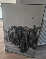 Schilderij olifanten, Huis en Inrichting, Schilderij, Zo goed als nieuw, 50 tot 75 cm, Ophalen