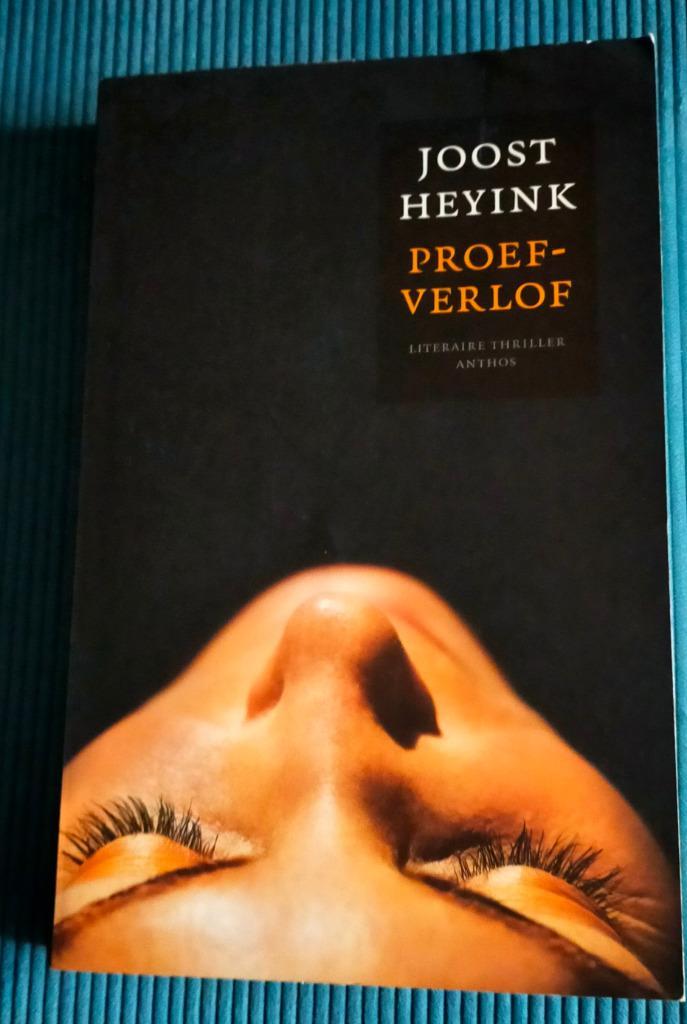Proefverlof - Joost Heyink, Boeken, Thrillers, Gelezen, Ophalen