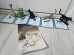 Curio cabinet cats 5 stuks, Ophalen of Verzenden