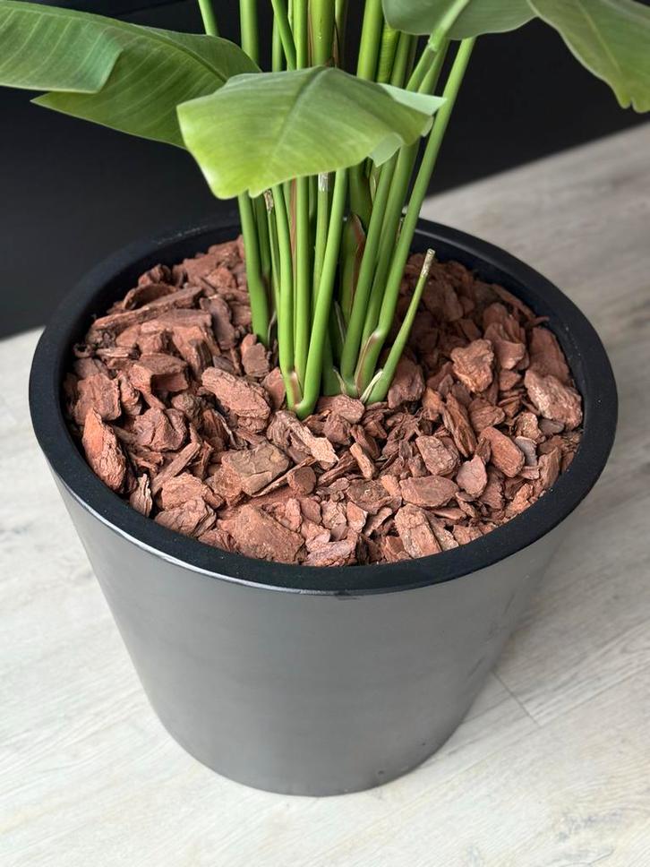 Grote zwarte ficonstone bloempot van het merk wout, Tuin en Terras, Bloempotten, Gebruikt, Steen, Binnen, Balkon, Tuin, Minder dan 40 cm