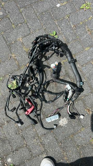 Kabelboom Toyota celica t23 1800 beschikbaar voor biedingen