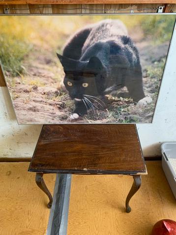 Mooie extea grote fotolijst beschikbaar voor biedingen