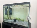 Superfish aquarium compleet, Dieren en Toebehoren, Vissen | Aquaria en Toebehoren, Ophalen, Gebruikt, Gevuld zoetwateraquarium