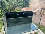 Waterbox met intern filter, Dieren en Toebehoren, Vissen | Aquariumvissen, Vis