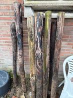 Weidepalen Gratis, Tuin en Terras, Palen, Balken en Planken, Gebruikt, Palen, Ophalen of Verzenden, Hardhout