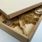 Speelbak 51,8 x 36,9 cm, Kinderen en Baby's, Speelgoed | Houten speelgoed, Verzenden, Nieuw, Overige typen