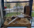 Hamsterhok, Dieren en Toebehoren, Minder dan 75 cm, Zo goed als nieuw, Hok, Ophalen