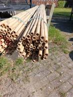 Bamboestokken tonkin stokken bonenstaken, Ophalen, Nieuw, 250 cm of meer, Palen