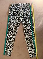 Studio Anneloes l legging l XL l met contrasterende bies, Kleding | Dames, Broeken en Pantalons, Zwart, Maat 46/48 (XL) of groter