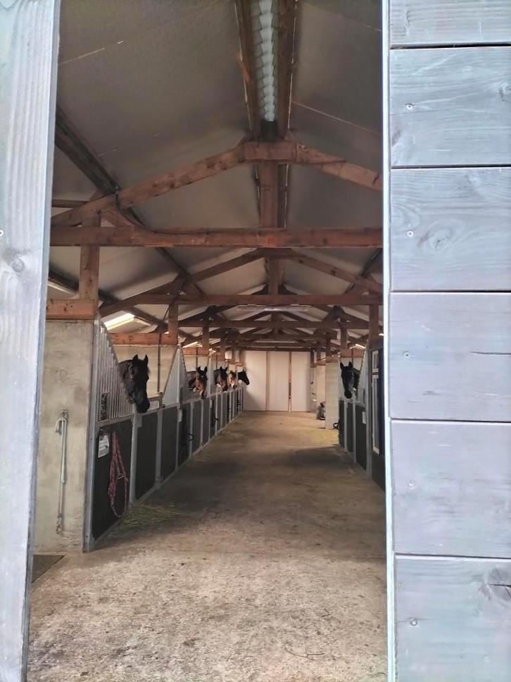 Vakantiestalling voor paarden en pony's, Dieren en Toebehoren, Stalling en Weidegang, Stalling, 1 paard of pony