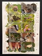 BELEEF DE NATUUR,  Sint-Pietersberg 2022, Postzegels en Munten, Ophalen of Verzenden, Na 1940, Postfris