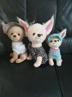 3 chihuahua's alleen in 1 koop, Ophalen, Gebruikt, Hond