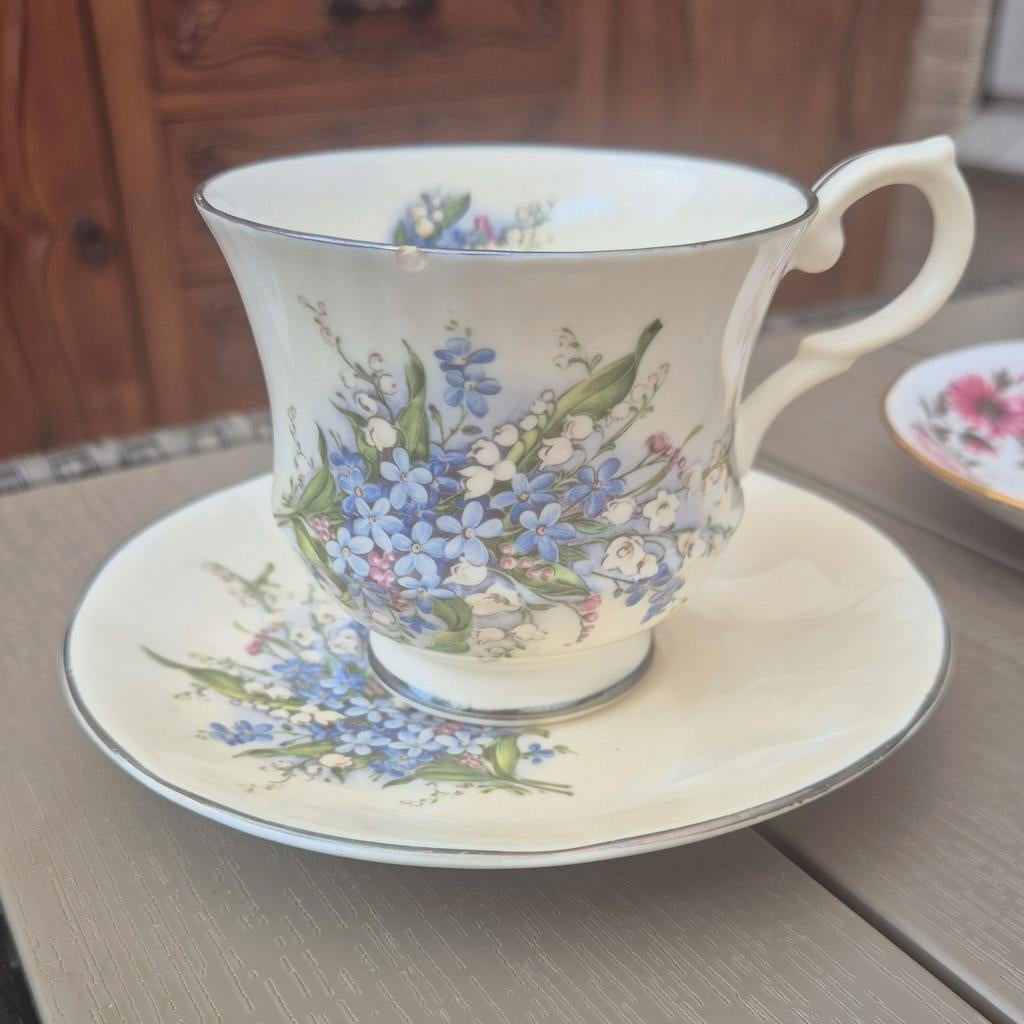 Springfield Bone China Kop en Schotel - Vergeet-mij-nietjes, Ophalen