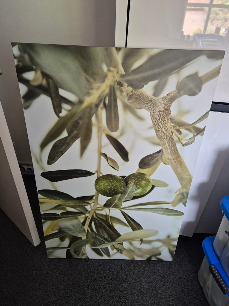 Schilderij olijven, Ophalen, Zo goed als nieuw