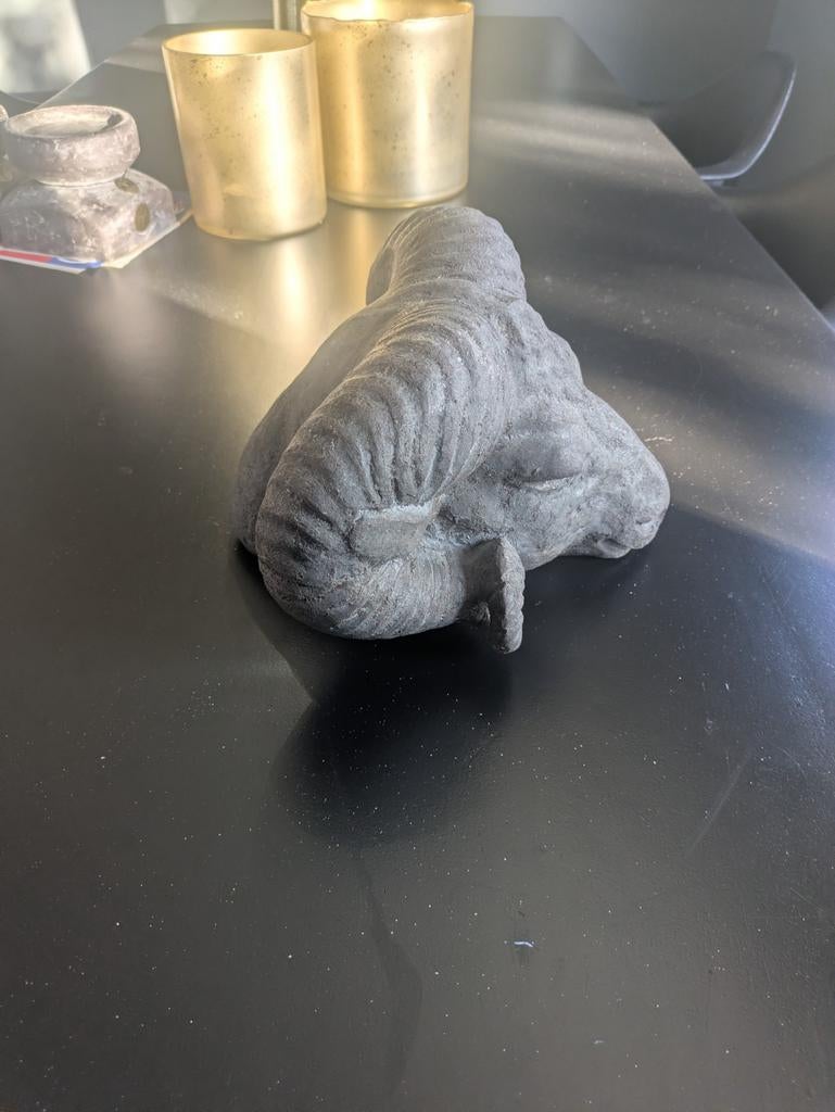 Ramskop, Ophalen of Verzenden