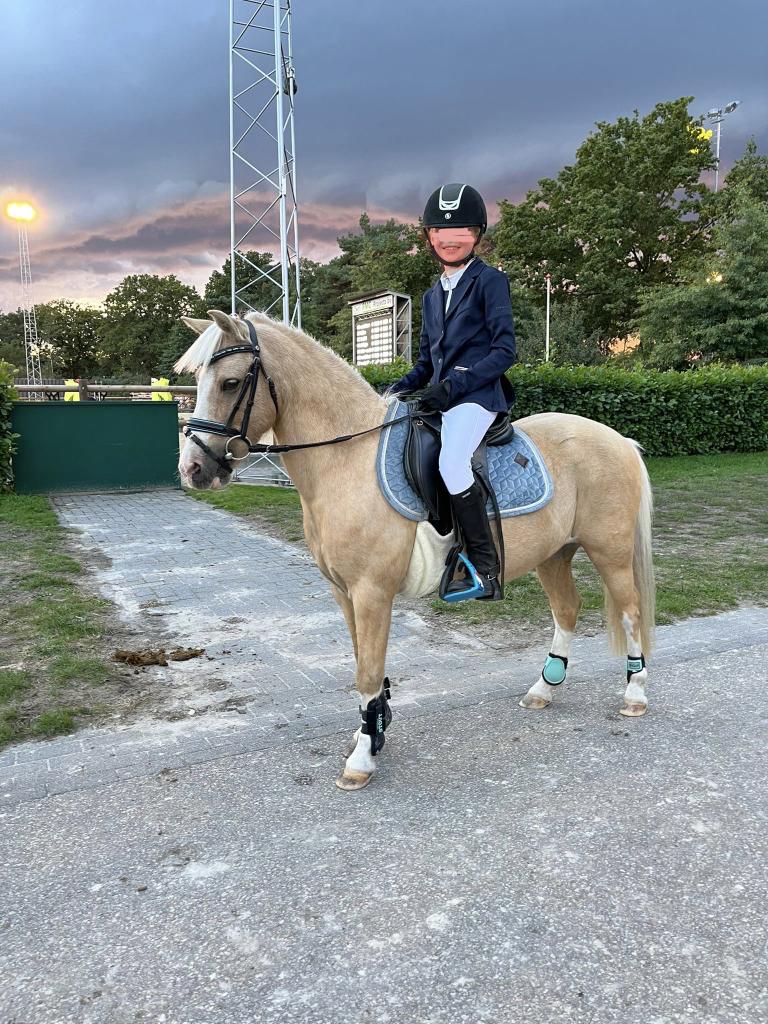 Palomino A pony & spullen: PERFECT v jonge ruiters/beginners, Dieren en Toebehoren, Pony's, Gechipt, Ruin, Springpony, A pony (tot 1.17m)