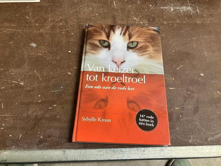 poes kat rode kater, Boeken, Dieren en Huisdieren, Zo goed als nieuw, Katten, Ophalen of Verzenden