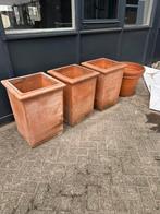 Terracotta pot, Ophalen of Verzenden, Zo goed als nieuw, Staal, Oor- of Traguspiercing