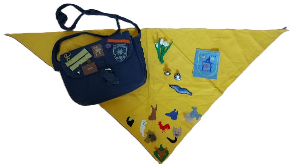 scouting oude Padvindsters tas met insignes, das en speldjes, Ophalen of Verzenden, Gebruikt, Embleem, Speld of Insigne