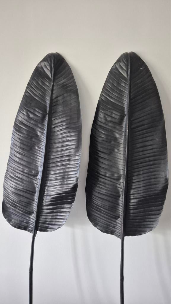 2x Bananenblad, Ophalen of Verzenden, Gebruikt