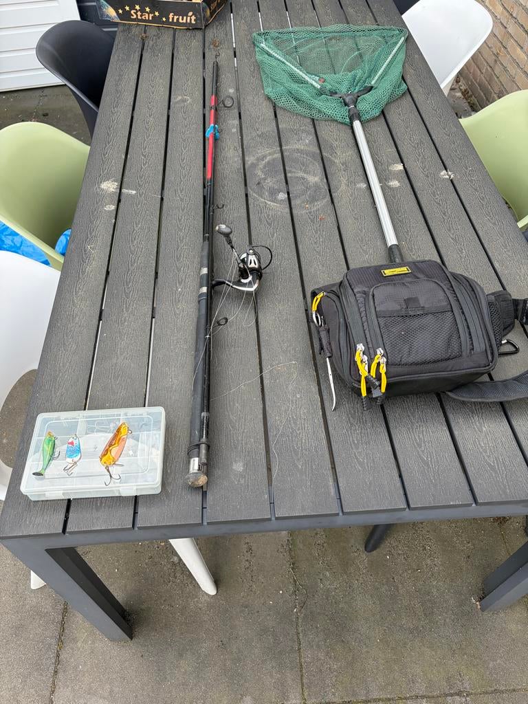 Vishengel met molen, schepnet en kunstaas, Watersport en Boten, Ophalen, Gebruikt, Complete hengel