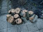 Verse walnoot houtblokken, Minder dan 3 m³, Ophalen, Overige houtsoorten, Blokken
