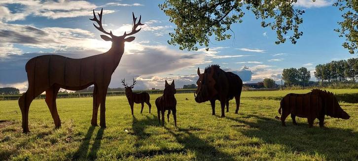 Stalen dier, tuin beeld, cortenstaal, Tuin en Terras, Tuinbeelden, Nieuw, Dierenbeeld, Metaal, Ophalen of Verzenden
