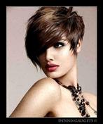 Dennis Gadgets : Korte sexy damespruik mixed brown nr. 091, Ophalen of Verzenden, Nieuw, Pruik of Haarverlenging