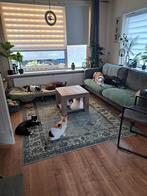 Vakantie opvang / pension voor katten, Particuliere oppas