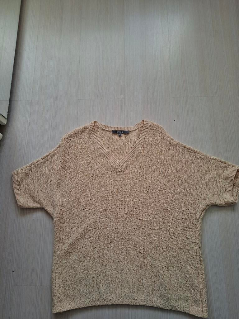 Sanne V-hals trui maat XXL, Kleding | Dames, Overige kleuren, Maat 46/48 (XL) of groter, Ophalen of Verzenden, Zo goed als nieuw