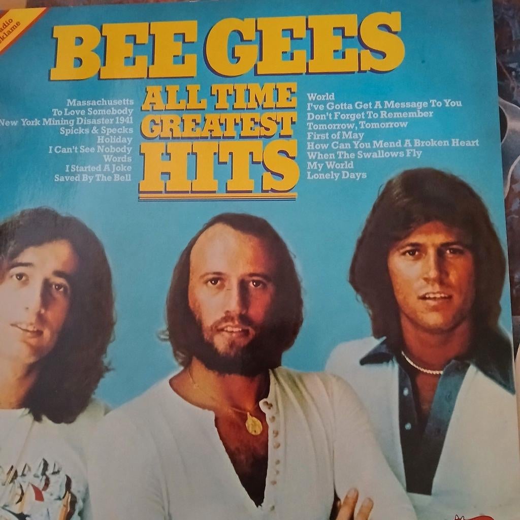 Elpee Bee-Gees, Ophalen of Verzenden, Zo goed als nieuw, 12 inch
