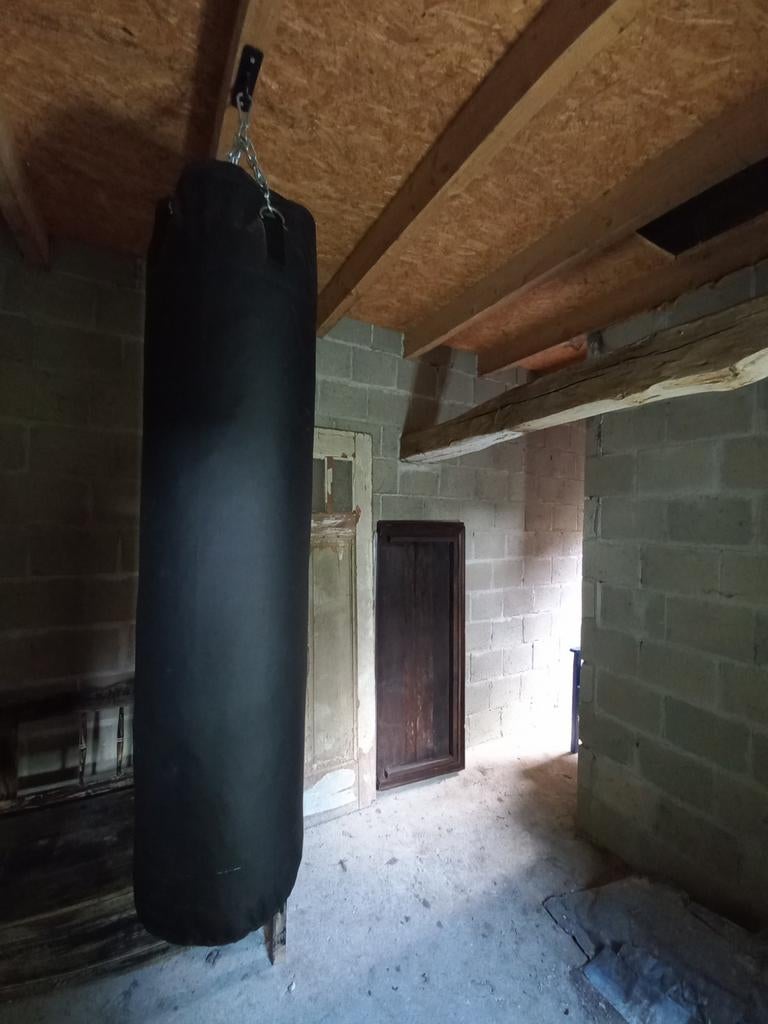 Boksbal met handschoenen en ophangsysteem, Sport en Fitness, Boksen, Ophalen of Verzenden, Gebruikt, Boksbal