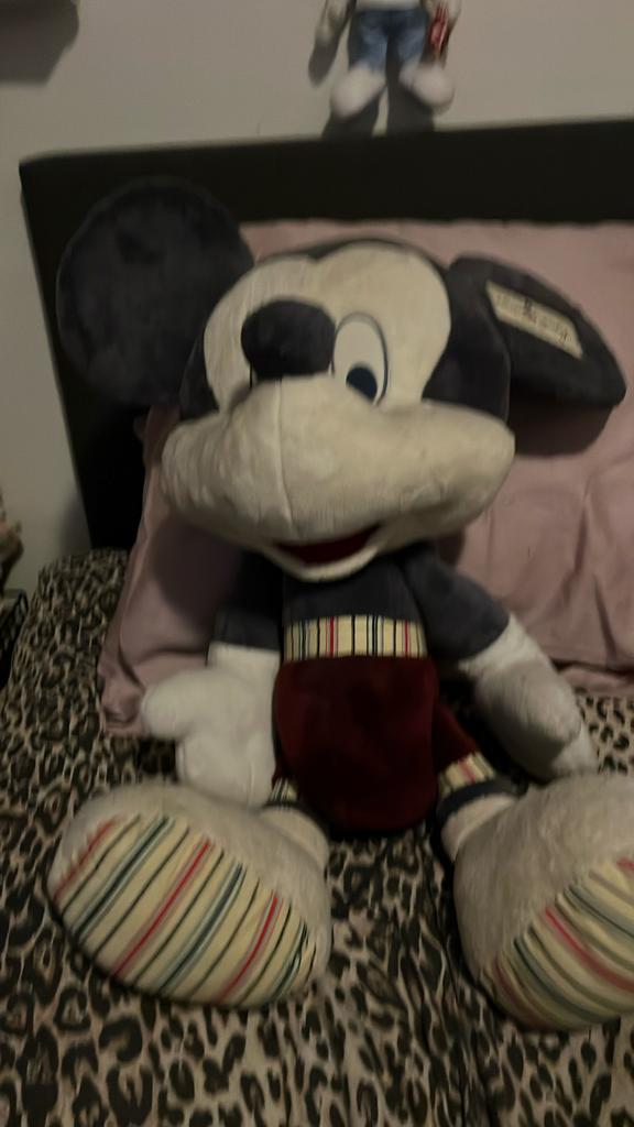 Mickey mouse, Verzamelen, Disney, Ophalen of Verzenden