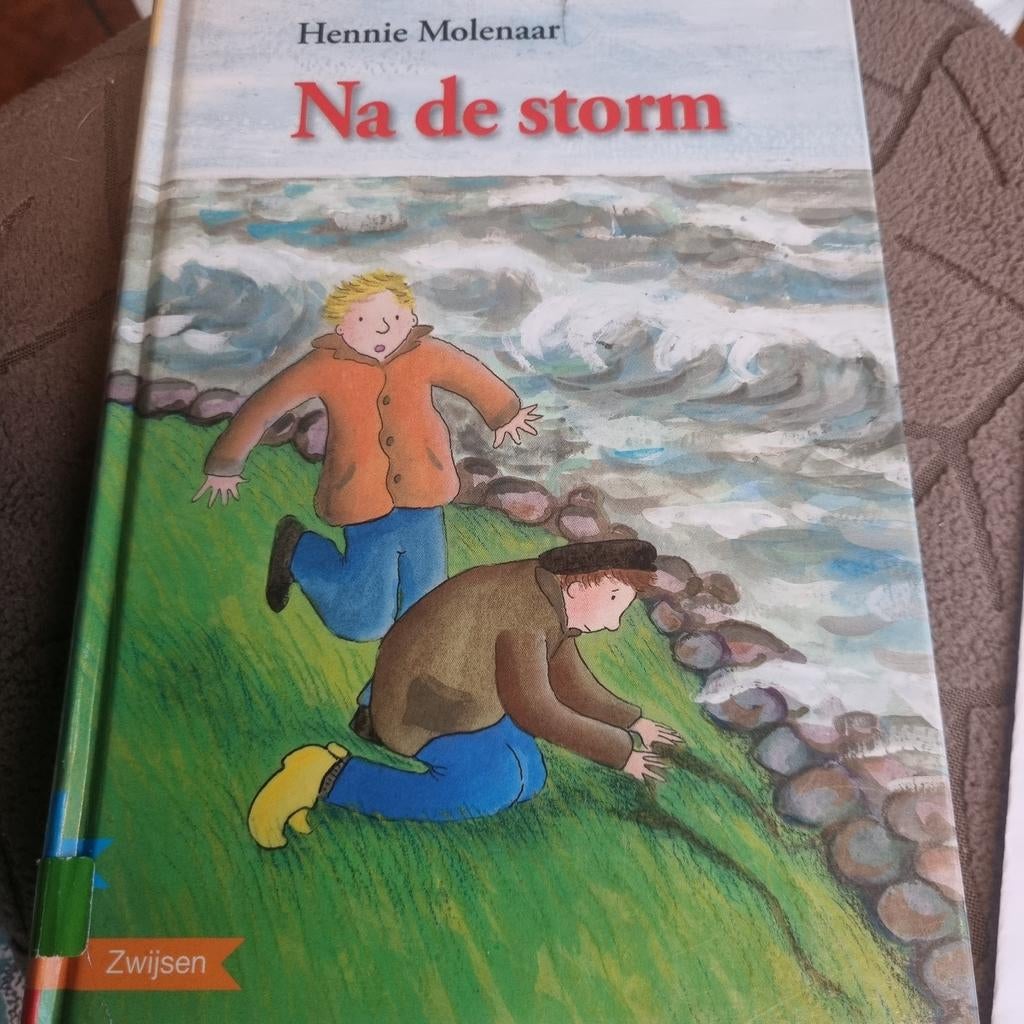 Na de storm - Hennie Molenaar - AVI E7, Ophalen of Verzenden, Gelezen, Hennie Molenaar