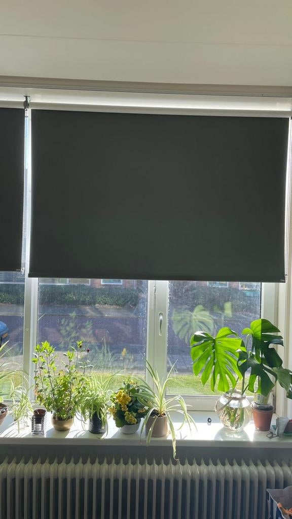 BLOCOUT verduisterende rolgordijnen set - diverse maten, Ophalen