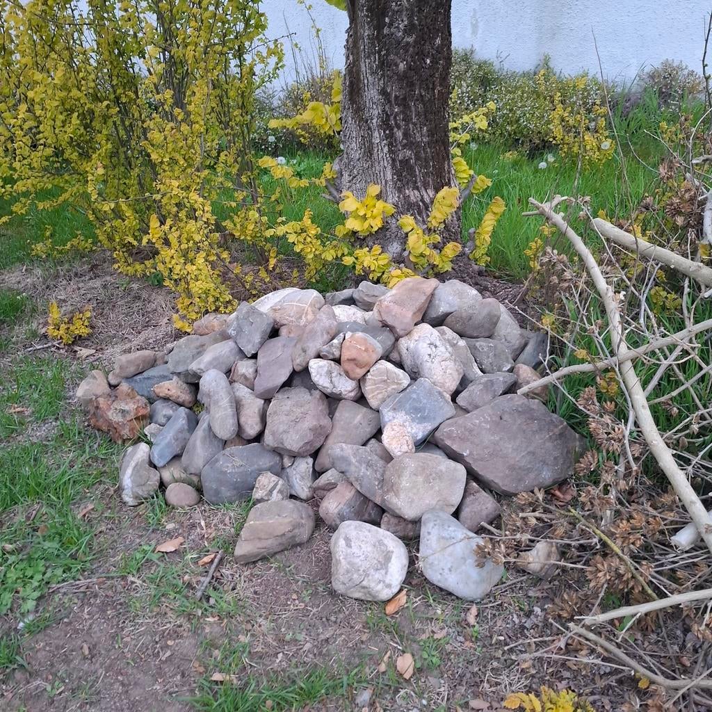 Maaskeien: Grote en Kleine Stenen voor Tuin of Decoratie, Tuin en Terras, Grind, Keien en Split, Ophalen, Gebruikt, Grijs, Kei