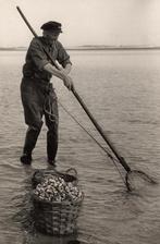 Vlieland, Foto, Nieuw, Ophalen of Verzenden, 1940 tot 1960