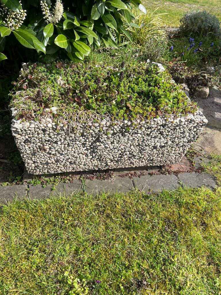 GRATIS Bloembak met plantjes, Tuin en Terras, Ophalen, Steen, 60 tot 100 cm, Rechthoekig