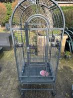 Papegaaien kooi, Dieren en Toebehoren, Vogels | Hokken en Kooien, Ophalen, Gebruikt, Metaal, Vogelkooi