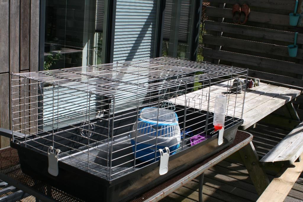 Cavia / konijnenkooi, Kooi, Fret, Ophalen, Minder dan 60 cm
