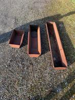 Trogen voer bak, Meerdere dieren, Geit