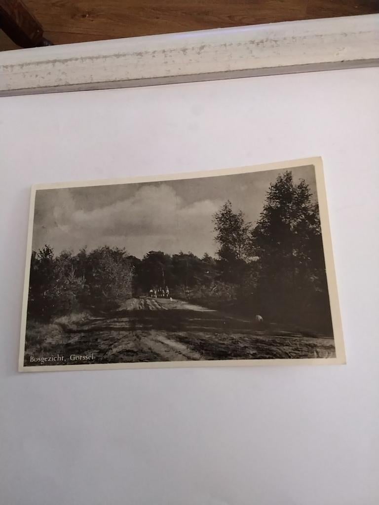 GORSSEL. BOSGEZICHT, Ophalen of Verzenden, Voor 1920, Zuid-Holland