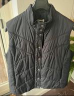 Gerry Weber Blauwe bodywarmer maat 42, Kleding | Dames, Bodywarmers, Ophalen of Verzenden, Zo goed als nieuw, Maat 42/44 (L), Blauw