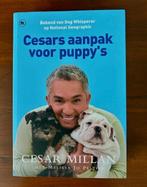Cesars aanpak voor puppy's  -  Cesar Millan, Ophalen of Verzenden, Zo goed als nieuw, Honden, Cesar Millan