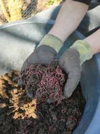 Mestpieren, mestpiertjes, Watersport en Boten, Ophalen of Verzenden, Overige typen